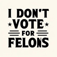 I Don't Vote For Felons President 2024 Democrat Button Pin 2 1/4