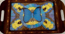 Beautiful Vintage Butterfly Wings Art Wood inlay, Santos Brazil, Casa ABC picture