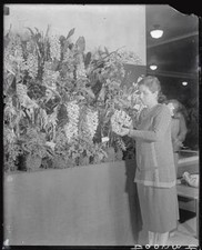 Mrs W K Dupont of Wilmington Delaware with her collection of or- 1928 Old Photo picture