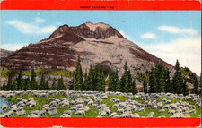 Postcard Idaho Sheep Grazing In A Field Postmarked 1949 picture