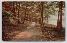 Sylvan Dell Park Houses Dirt Road Williamsport Pennsylvania PA c1908 Postcard picture
