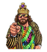 WWE Macho King Randy Savage Wrestling Water Resistant Sticker WWF WCW AEW NXT picture