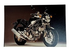 Vintage Ducati Monster Racing Motorcycle Promo Original Photo 1998 5” x 3.5” picture