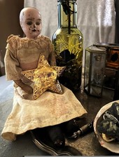 Dark Moody Academia Peculiarities Curio Curiosities Cabinet Oddities Display 1 picture
