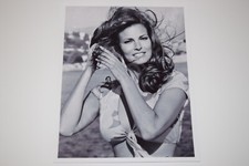 Raquel Welch pinup 8x10 glossy photo Busty Sexy Gorgeous Cleavage 0128 picture