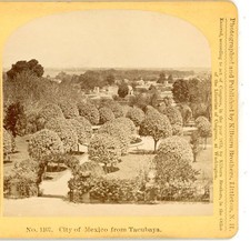 City of Mexico from Tacubaya Kilburn Stereoview 1873 picture
