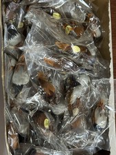 Vintage Lot of 78 Feather Quail Bird Ornaments Natural Feathers Wire Picks picture