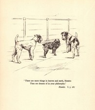 Vintage Fox Terrier & Brussels Griffon Print Shakespeare Hamlet Quote 7016a picture