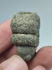 Golden pyrite marcasite specimen from Pak. 