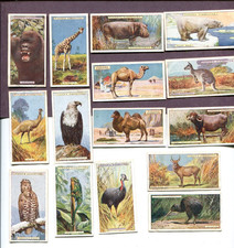 1924 JOHN PLAYER & SONS NATURAL HISTORY 15 DIFFERENT TOBACCO CARD LOT ANIMALS picture