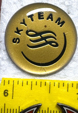 Sky Team Airline Alliance Logo Metal Lapel Tack Pin Badge Collectible Gold-Tone picture