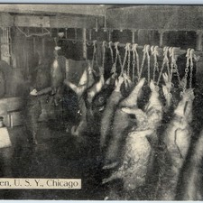 c1910s Chicago IL Union Stock Yards RARE Postcard Sticking Pen Meat Pig Hog A380 picture