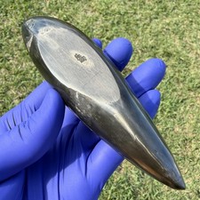 SPERM CETACEAN TOOTH FOSSIL HEAVILY PYRITIZED POLISHED TOOTH picture