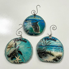 Set of 3 Florida Sand Dollar Ornaments Magnets Anna Maria Island Beach Handmade picture