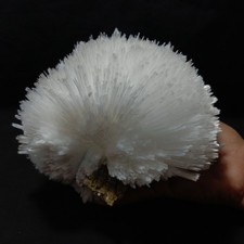 Shimmering And Glassy mineral Specimen Of SCOLECITE 132  picture