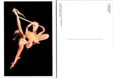 Continental Art Photography Postcard picture