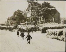 Snow Scenes in Dorset These pictures taken today show various s- 1937 Old Photo picture