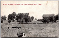 Antique 1920's Postcard View From Grand View Farm, Fish Lake, Marcellus Michigan picture