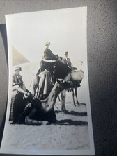 1930’s  Woman Riding Camel Egypt Ancient Pyramid Ruins Africa Real Photo picture