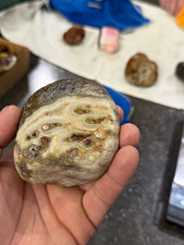 Lake Superior agate 1 lb 3 oz water washed picture