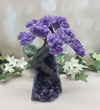 Large Uruguay Amethyst Crystal Tree Geode Bonsai Gemstone Sculpture 2lb 15oz picture