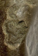 Native American Indian Artifact Stone  Effigy/Figure Carved ,  14 oz • VA picture