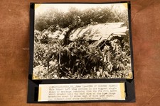 Leesburg VA PCA DC-4 Crash Wing Wreckage 8¼x8 1947 AP Wire Photo V33 picture
