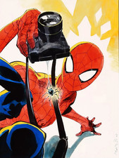 Amazing Spider-man illustration by Matias Bergara picture