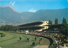Horses racecourse Merano Italy hippodromo 1972 sport horses race postcard picture