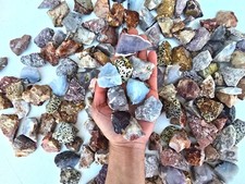 Mexico Crystals Mix Raw Rough Stones Bulk Lot for Tumbling Healing Collecting picture