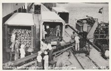 Vintage Postcard RPPC Loading Bananas Port of Brownsville Texas c1955 picture