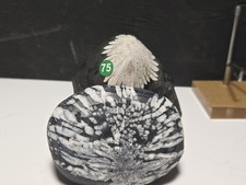 GORGEOUS SET OF (2) CHRYSANTHEMUM STONE freeform Mountain top/palmstone G75 picture