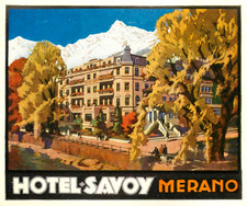 Hotel Savoy ~MERANO - ITALY~ Magnificent Old Luggage Label, c. 1940 picture