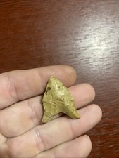 MLC s10329 Rare 1 1/4” Hardaway Dalton Arrowhead Maryland Stone Artifact picture