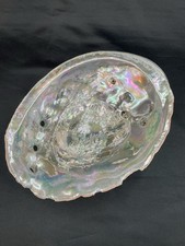 Large 8.25” Natural Abalone Shell picture