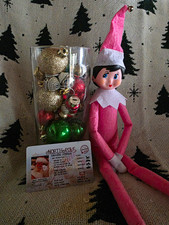 The Elf on the Shelf Pink Girl Doll  w/ Santa's Driver's License  picture