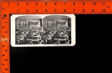 Stereoview Sears Roebuck Co Chicago Mail Opening Auditing Office Employees picture