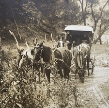Stagecoach between Caliente & Paris & Piute Mining Towns in CA Crossing a Creek picture