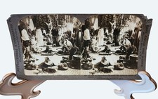 1904 Stereoview Laliberte Fur Parlor Quebec Canada Antique Taxidermy Photography picture