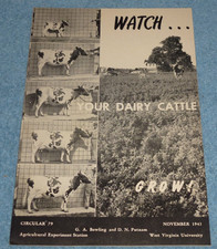 1943 West Virginia University Agriculture Circular Watch Your Dairy Cattle Grow picture
