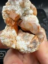 Fossilized Indiana Geode Crystal  Agate Crinoid 495 Carats picture
