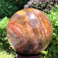 10.58LB Large Natural Petrified Wood Crystal Fossil ball Specimen Healing picture