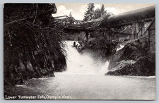 c1910s Lower Tumwater Falls Olympia Washington Postcard picture