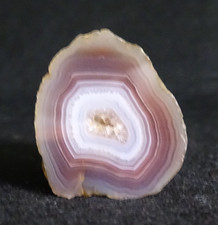 Mozambique Agate Half Nodule Collector Specimen Rock Mozambique picture