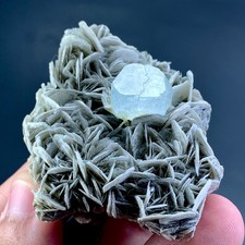 363 Carat Aquamarine Crystal on Mica Specimen From Skardu Pakistan picture