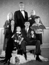 THE ADDAMS FAMILY CAST TV SHOW High Quality Metal Fridge Magnet 3x4 8061 picture