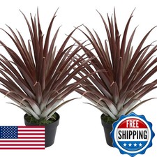 Momoplant 2 Pcs Artificial Aloe Vera Plants 27 Inch Red Fake Succulents Faux picture