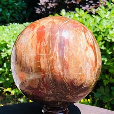 7.48LB Large Natural Petrified Wood Crystal Fossil ball Specimen Healing picture