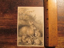 Antique Ephemera Trade Card Quack Medicine Bowman's Pectoral Syrup picture