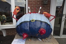 Photo:Damariscotta Maine 2017 Pumpkinfest Giant Pumpkin Eugene H Krabs picture